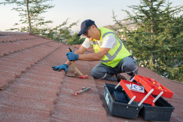 Best Shingle Roofing Installation  in Lathrop, MO