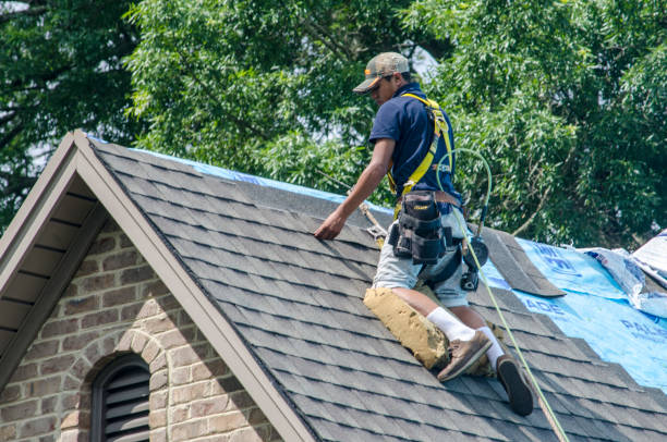 Best Roof Replacement Cost  in Lathrop, MO